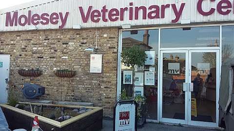 Molesey Veterinary Centre photo